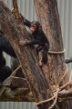 Kids_DFWzoo_3-2016 (257)